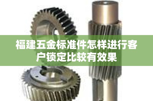 福建五金标准件怎样进行客户锁定比较有效果