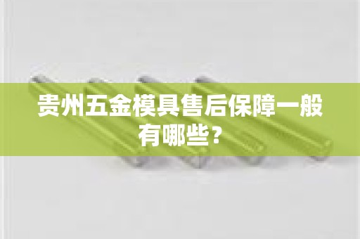 贵州五金模具售后保障一般有哪些？