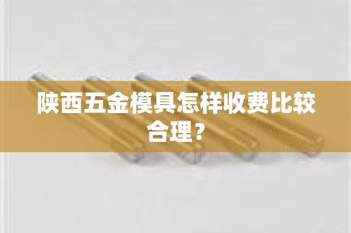 陕西五金模具怎样收费比较合理？