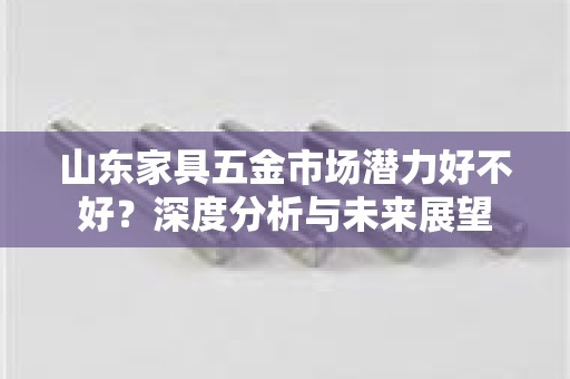 山东家具五金市场潜力好不好？深度分析与未来展望