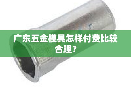 广东五金模具怎样付费比较合理？