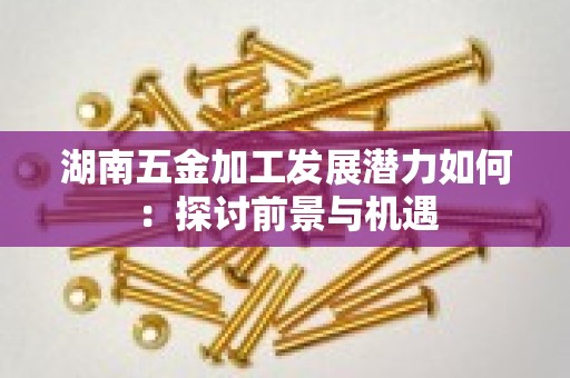 湖南五金加工发展潜力如何：探讨前景与机遇
