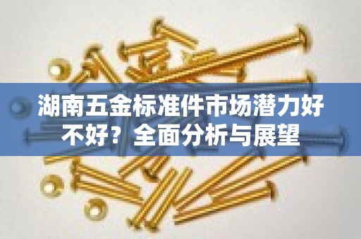 湖南五金标准件市场潜力好不好？全面分析与展望