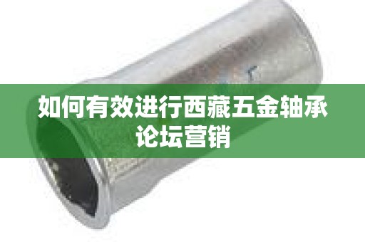 如何有效进行西藏五金轴承论坛营销