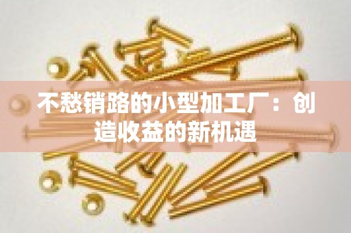 不愁销路的小型加工厂：创造收益的新机遇